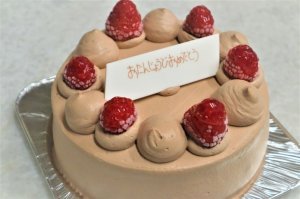 画像1: 低糖質生チョコ5号15cm (1)