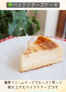 画像1: 低糖質ベークドチーズ1カット (1)